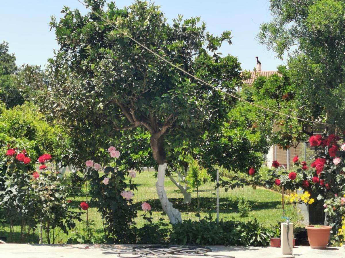 Kardiakafti Village Gastuni Exterior foto