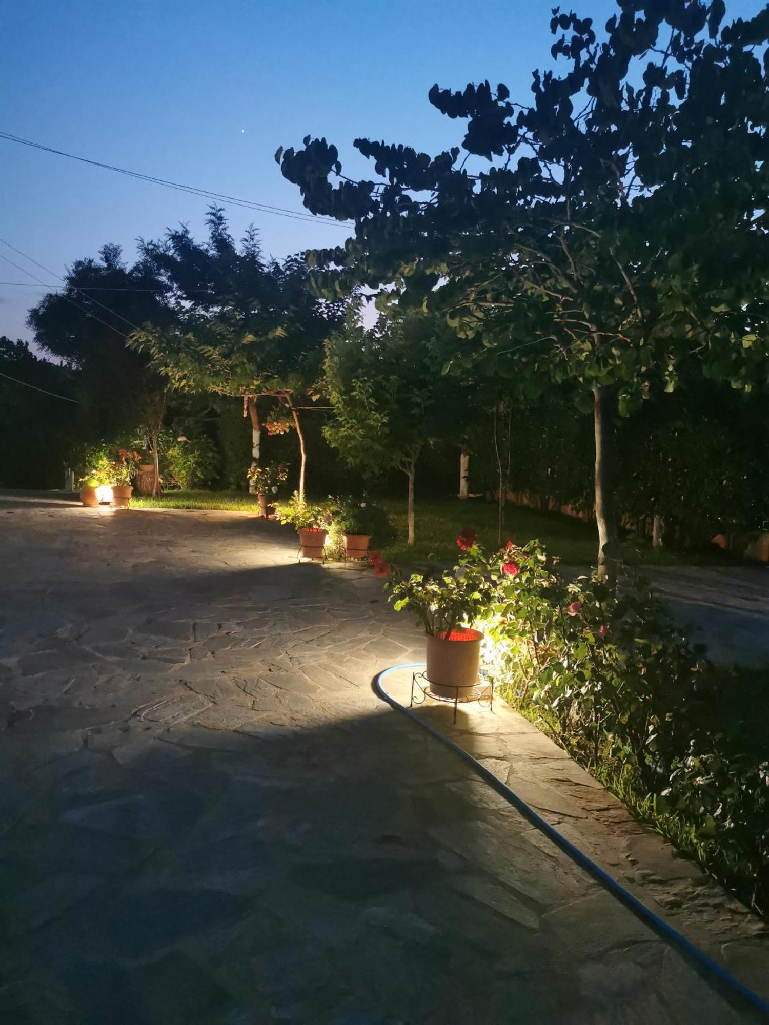 Kardiakafti Village Gastuni Exterior foto